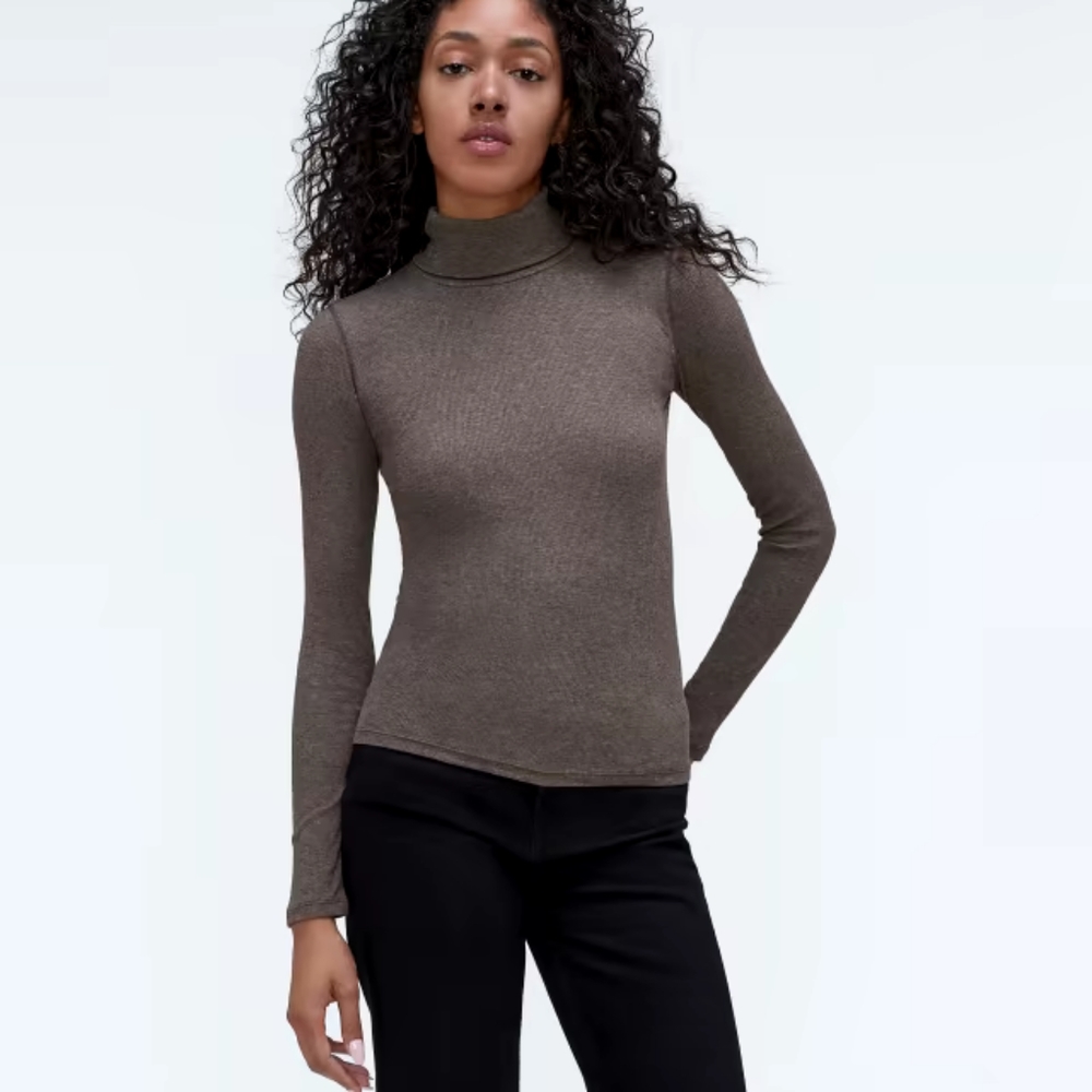 Everlane Pima Turtleneck